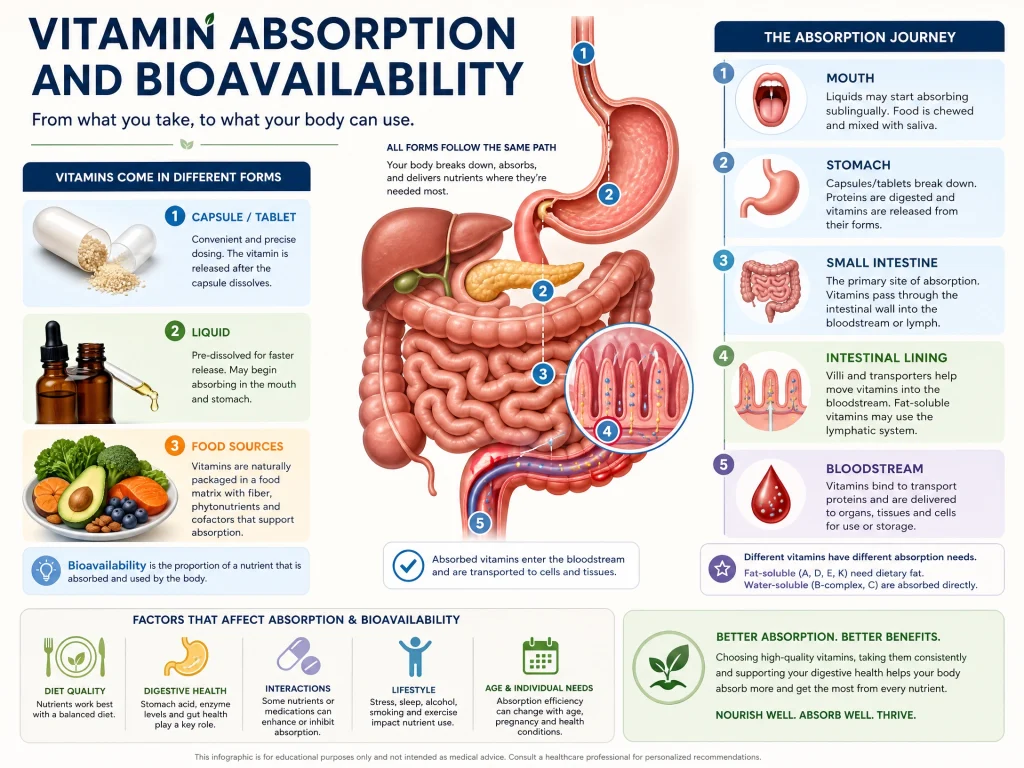 How Omega-3 Supplements Support Everyday Wellness